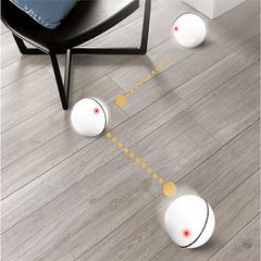 Dog/Cat  Ball Charging 360 Degree Self Rotating.Pet Toys