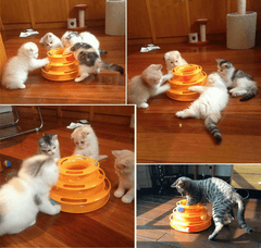 Pet Cat Toy  Disc Cat Intelligence Amusement Triple Pay Disc