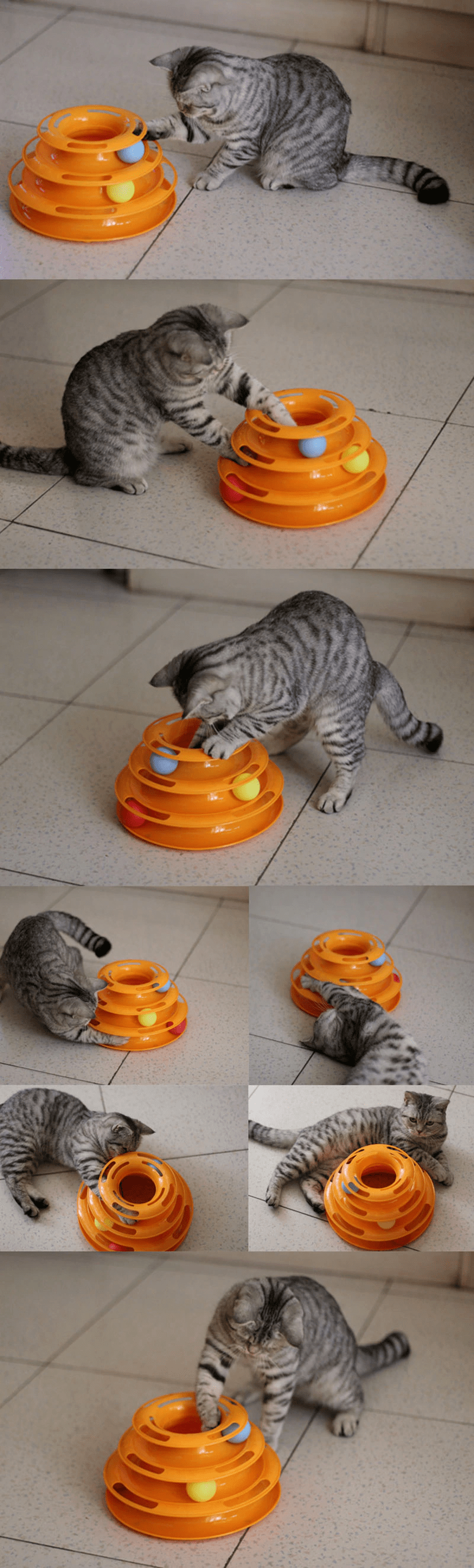 Pet Cat Toy  Disc Cat Intelligence Amusement Triple Pay Disc