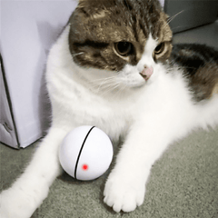 Dog/Cat  Ball Charging 360 Degree Self Rotating.Pet Toys