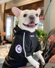 Bulldog Waterproof Jacket,Windbreaker Rainproof Clothes