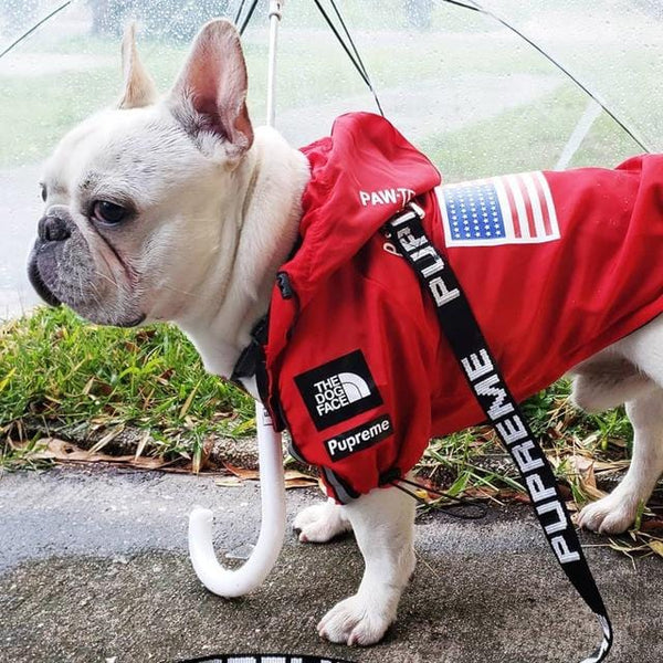 Bulldog Waterproof Jacket,Windbreaker Rainproof Clothes