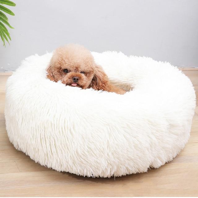 Super Comfy And Soft Long Push Dog Bed