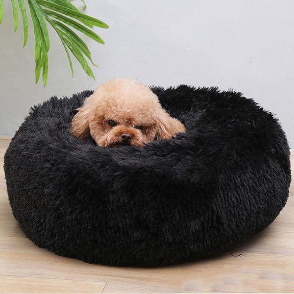 Super Comfy And Soft Long Push Dog Bed