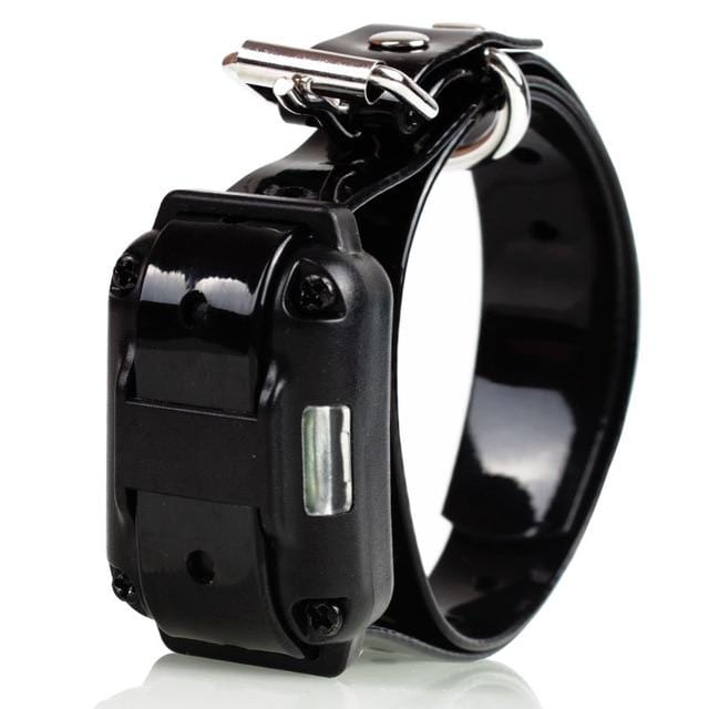 Waterproof Electric Dog Training Collar Pet Remote Control