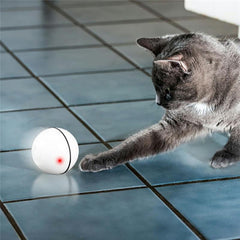 Dog/Cat  Ball Charging 360 Degree Self Rotating.Pet Toys