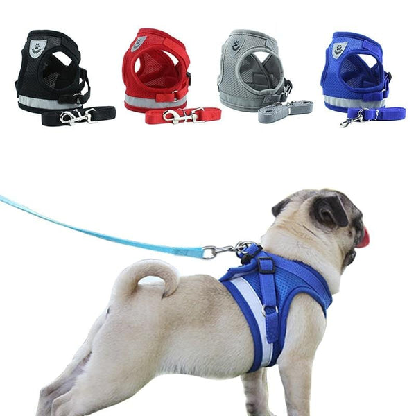 Dog Harness. Dog Safety Essentials