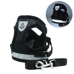 Dog Harness. Dog Safety Essentials