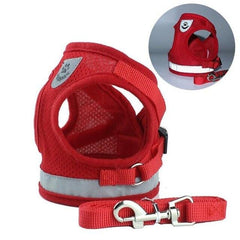 Dog Harness. Dog Safety Essentials