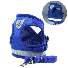 Dog Harness. Dog Safety Essentials