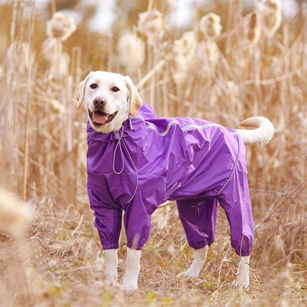 Dog Waterproof High Quality Jacket